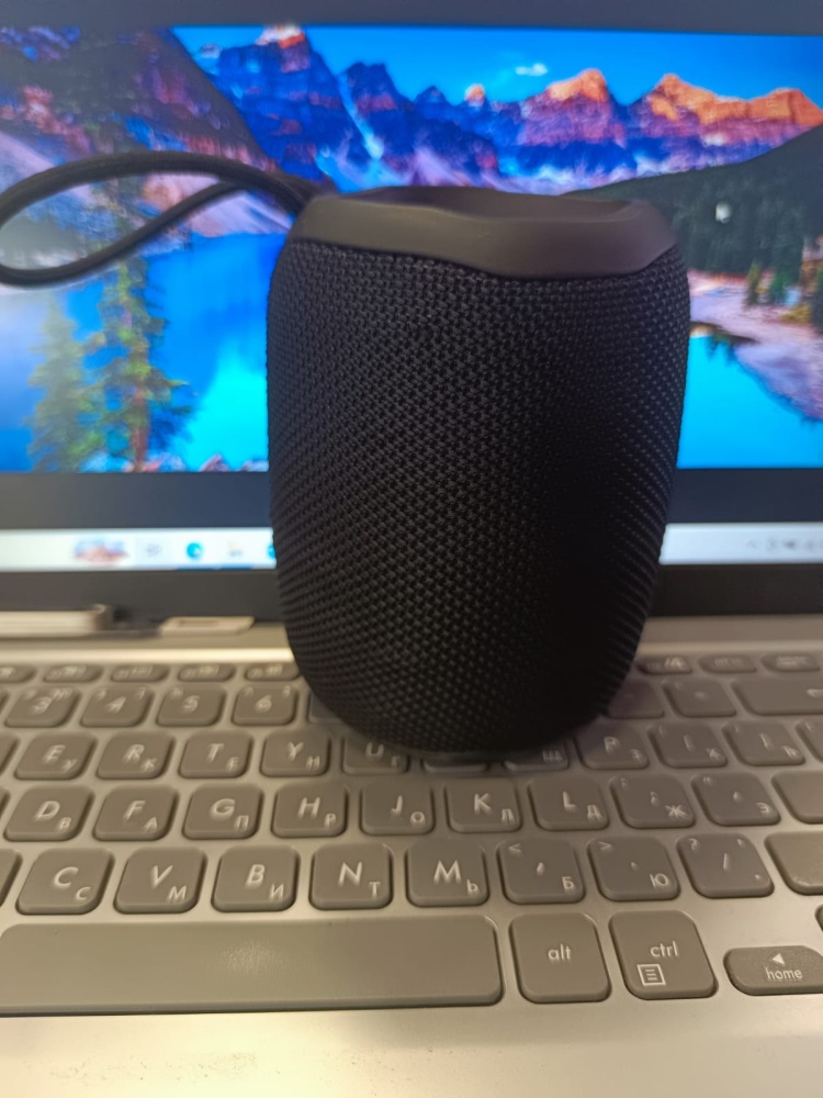 Акустика Bluetooth Elfy Power