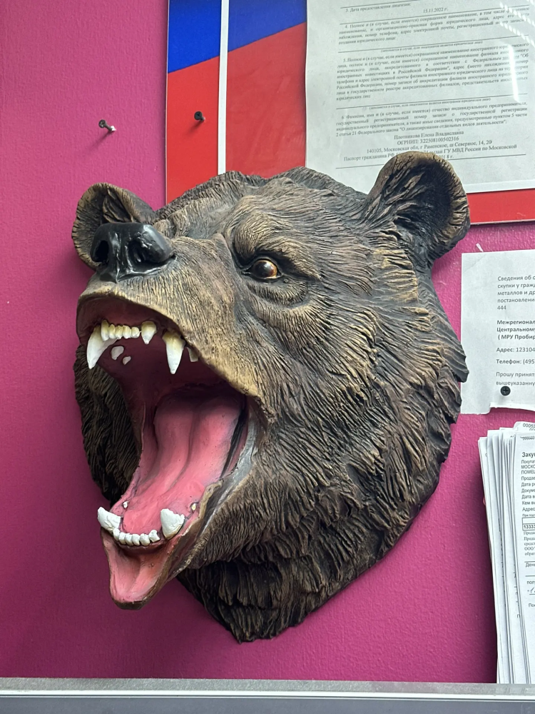 Голова медведя