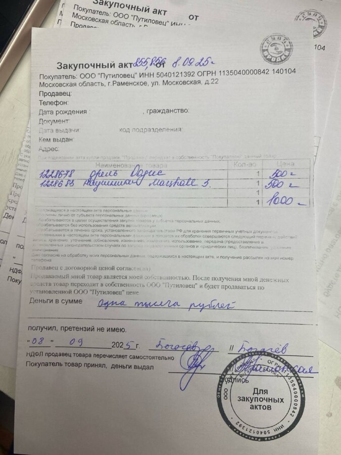 Дрель Oasis eco