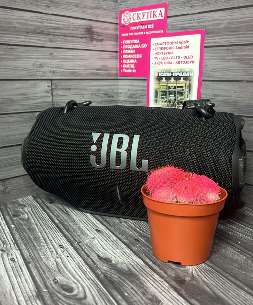 Акустика JBL Xtreme 4