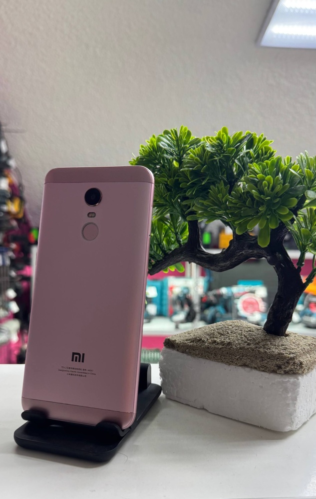 Смартфон Xiaomi Redmi 5+ 4/64