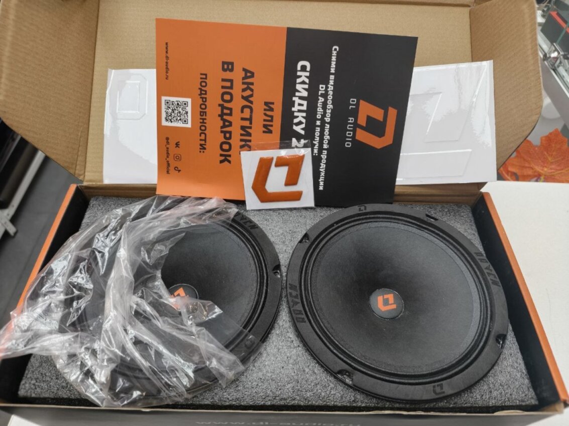 Динамики DL Audio Raven 165 v2