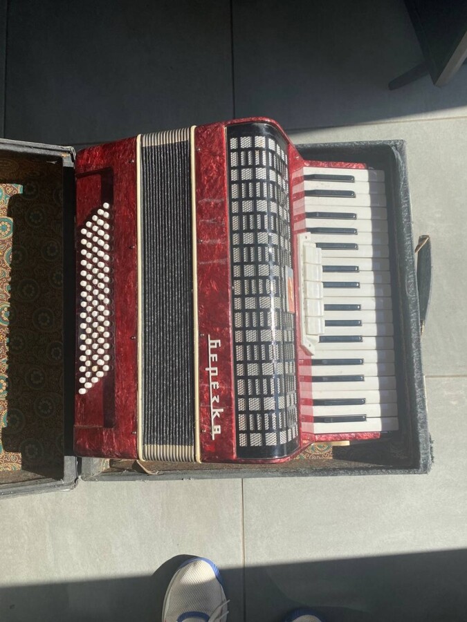 Аккордеон Березка