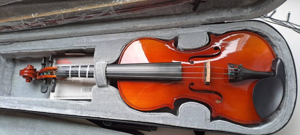 Скрипка euphony